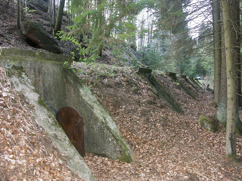 Le DMP de l'Erbsenberg