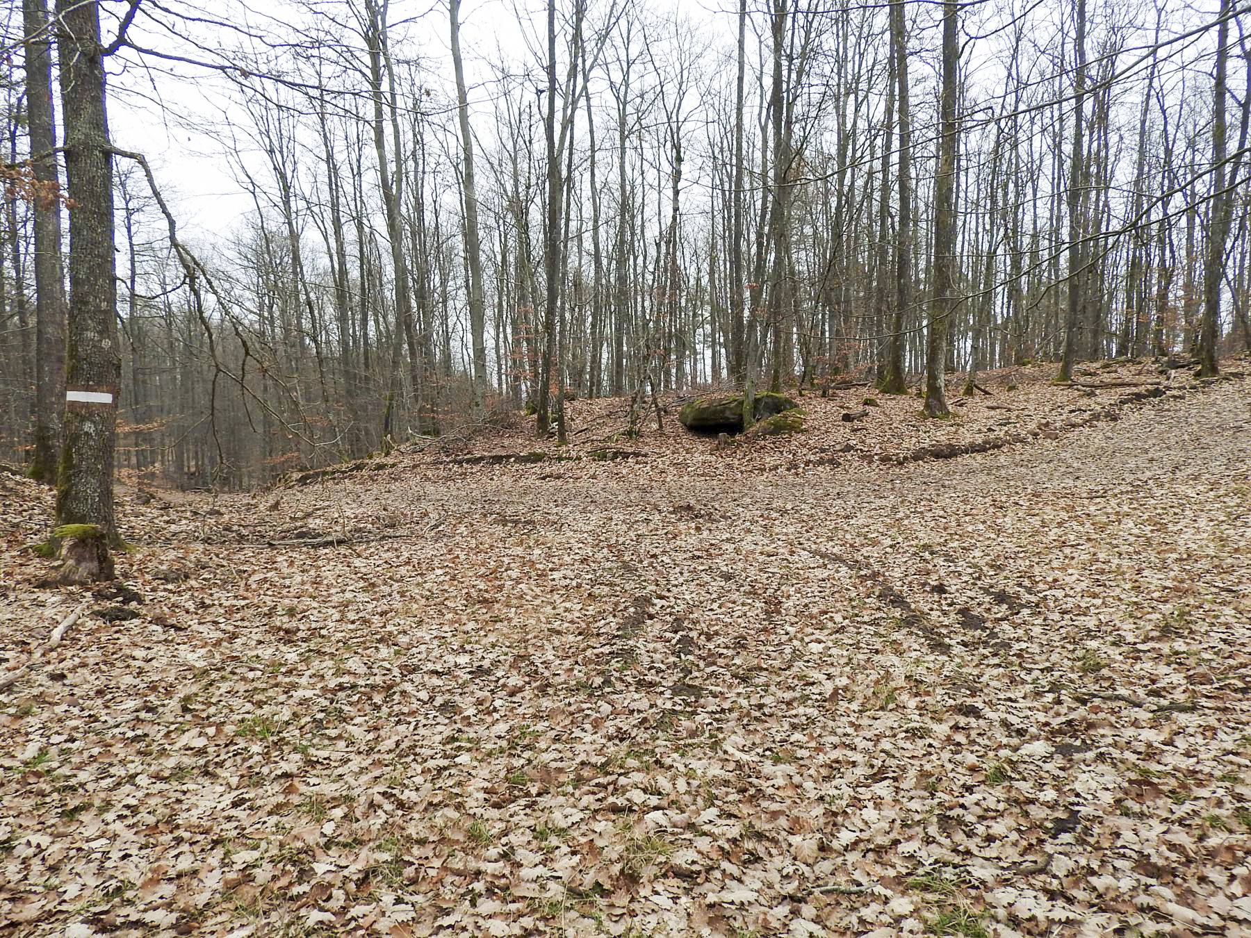 Ligne Maginot - BIESENBERG Bis - (Barrage de Route) - Le barrage se trouve sur le chemin venant de gauche
