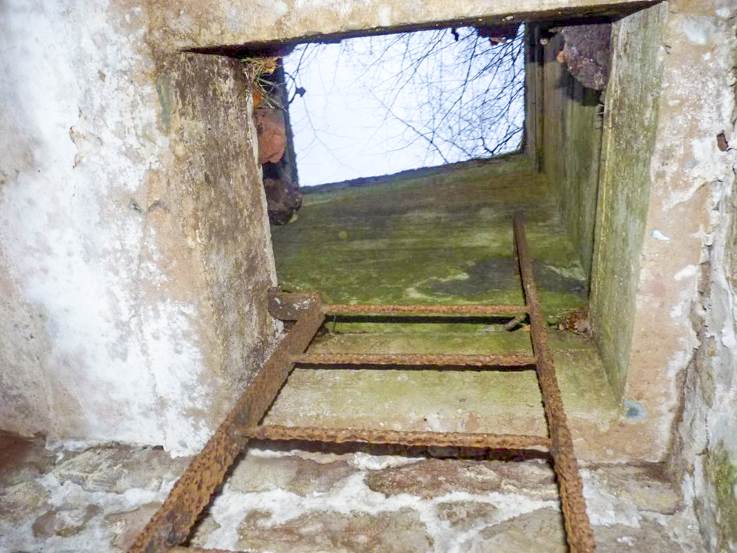 Ligne Maginot - BIESENBERG - OBS AVANCé - (Observatoire d'artillerie) - La partie supérieure bétonnée