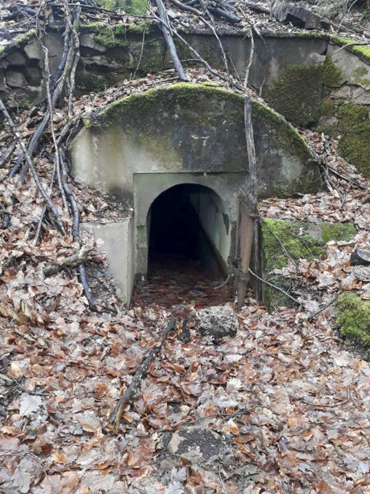 Ligne Maginot - DEPOT - (Abri) - 