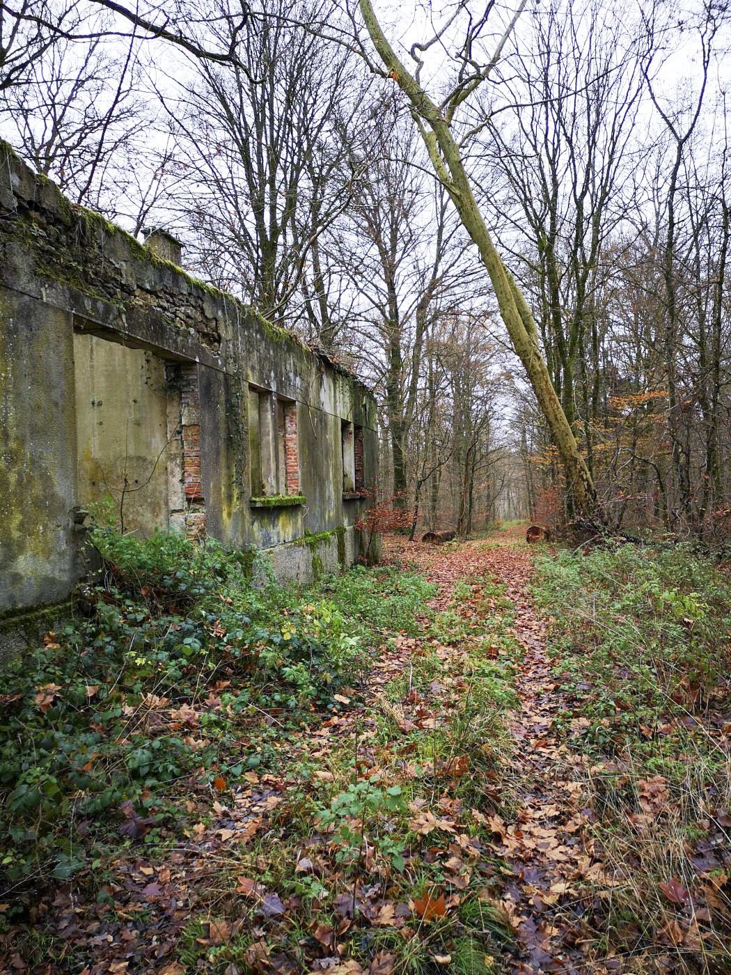 Ligne Maginot - VIRMING - (Dépôt de Munitions) - Ruines de la maison de gardien / bâtiment administratif - DK_Antoine4