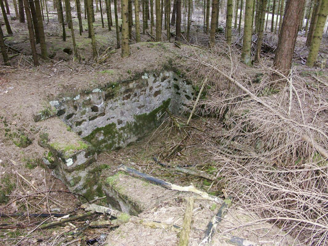 Ligne Maginot - ERBSENTHAL 2 - (Cuve pour arme d'infanterie) - Cuve maçonnée pour arme d'infanterie