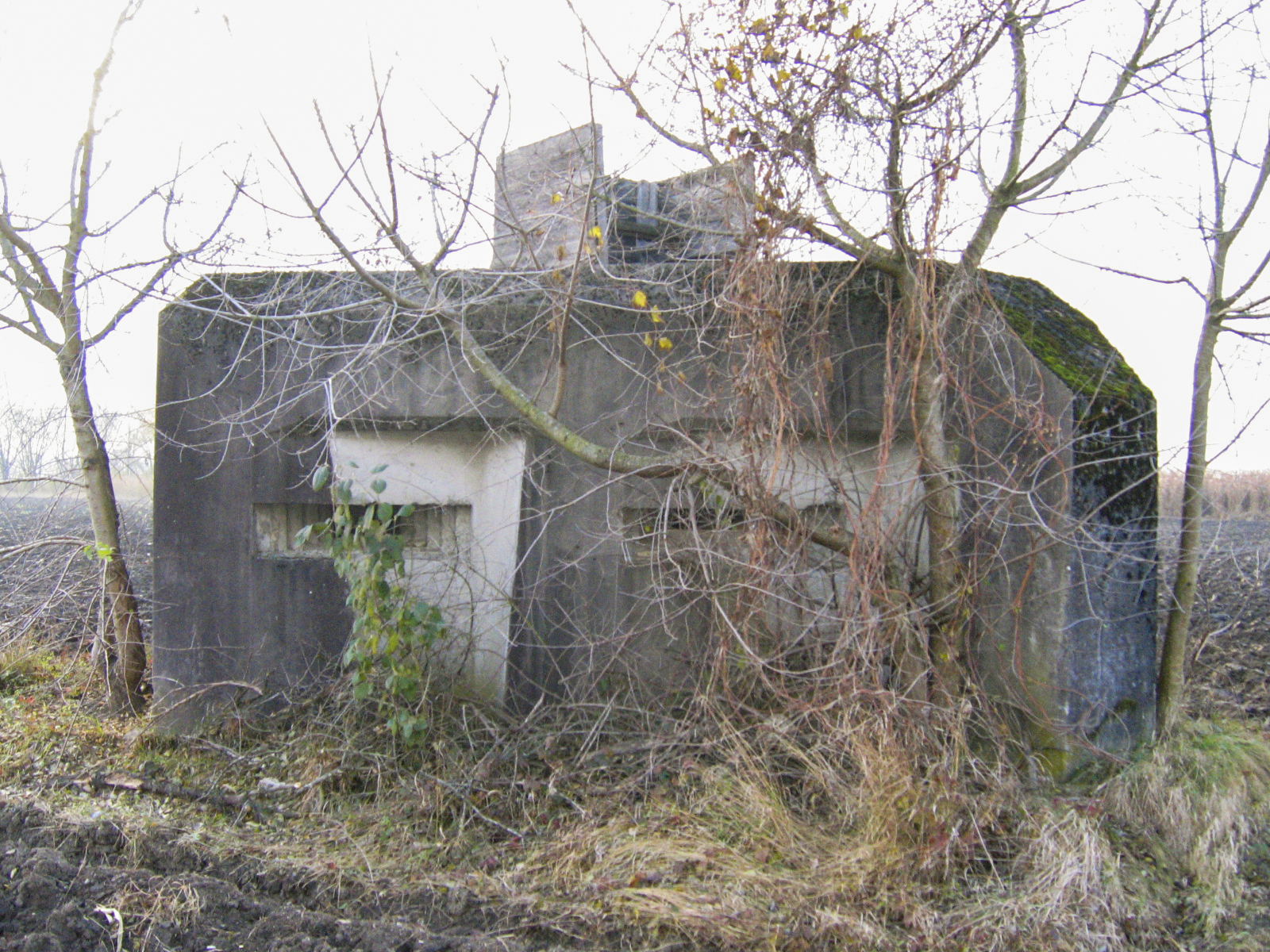 Ligne Maginot - HILGEN EST - (Blockhaus pour arme infanterie) - 