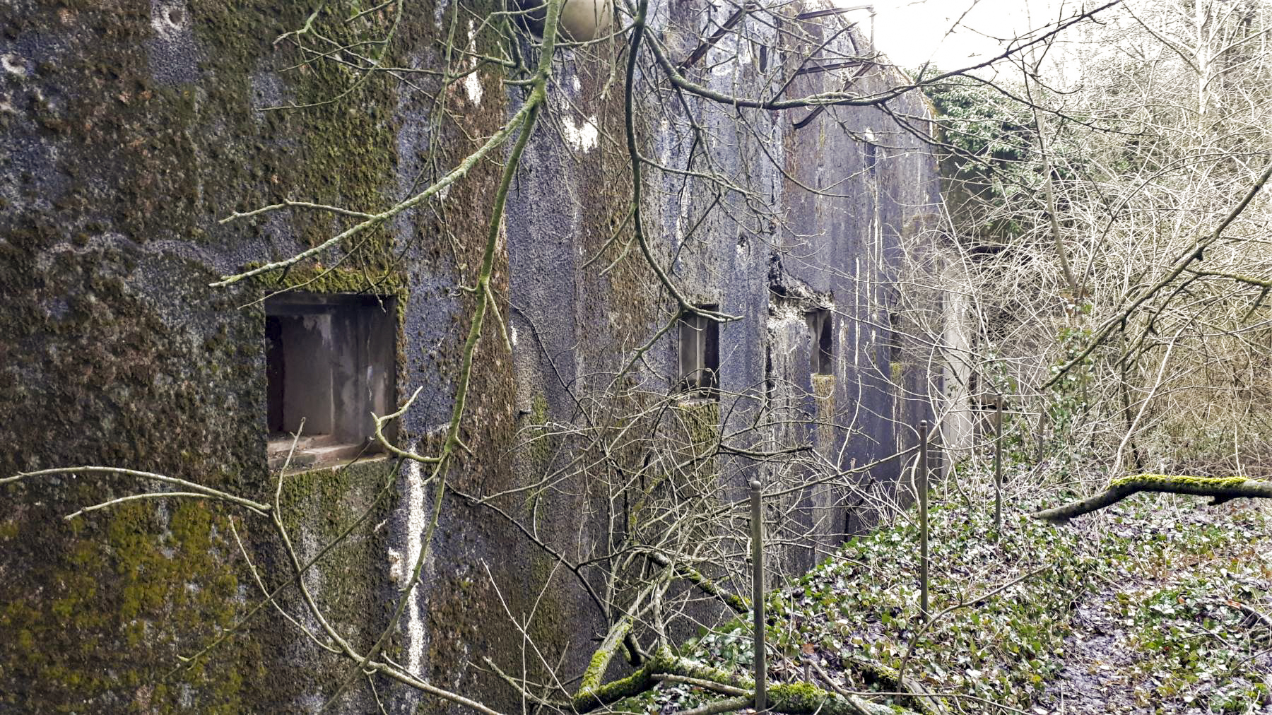 Ligne Maginot - BUCHHOLZBERG (I / 79° RIF) - (Abri) - Les créneaux FM de façade