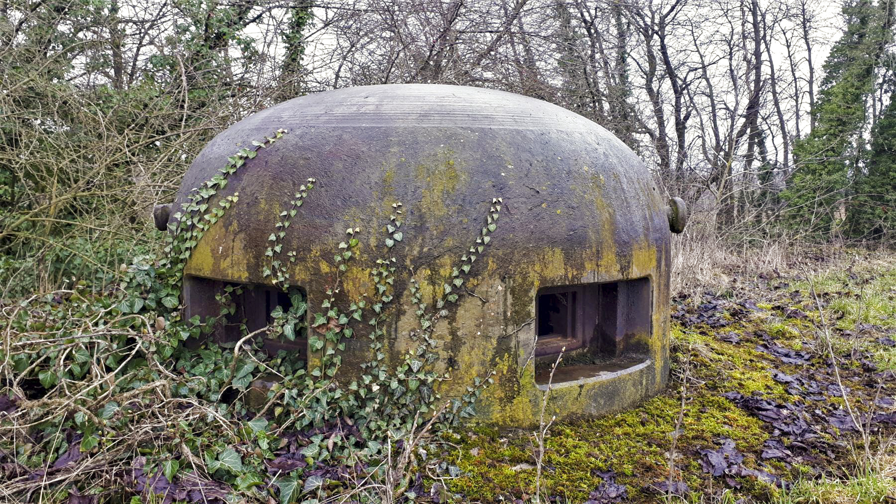 Ligne Maginot - BUCHHOLZBERG (I / 79° RIF) - (Abri) - La cloche GFM Est