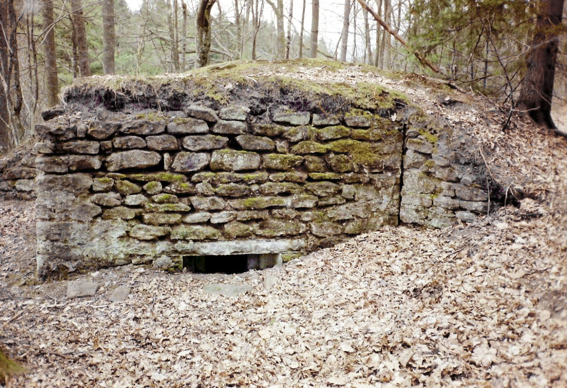 Ligne Maginot - GLASBRONN 1 - (Blockhaus pour arme infanterie) - Le blockhaus Glasbronn 1 en 1991 - Alain Perouffe