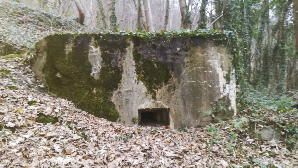 Ligne Maginot - Blockhaus Bb59-B - BOIS de l'HERMITAGE Nord -  - Meunier Guy