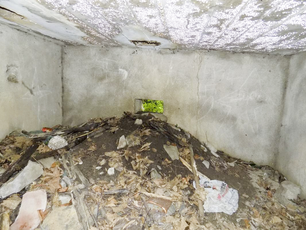 Ligne Maginot - Blockhaus Bb59-B - BOIS de l'HERMITAGE Nord - Face droite, créneau FM/Obs