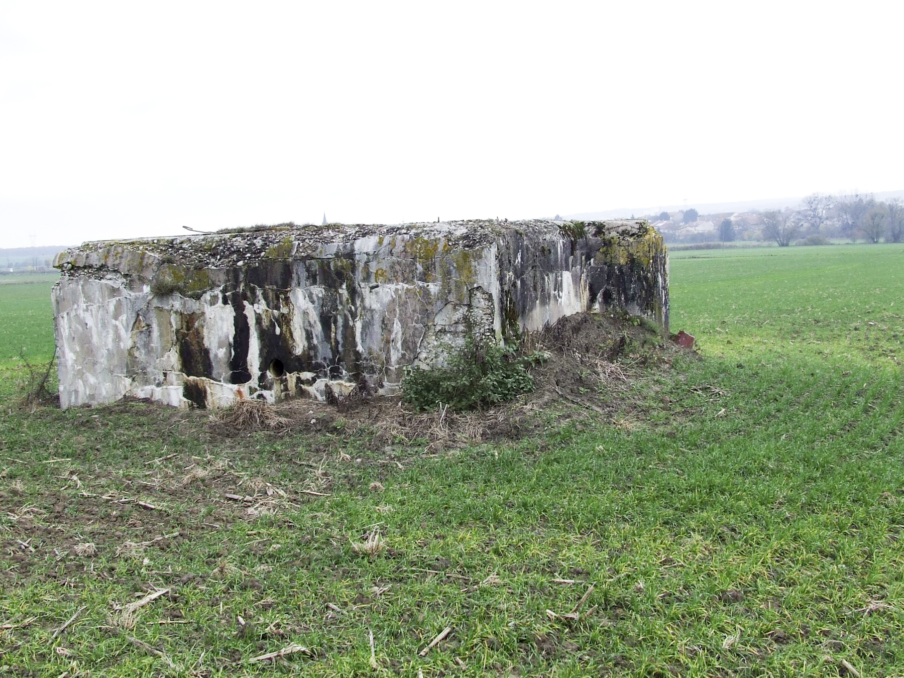 Ligne Maginot - AB2-D - ITINGERSLOCH NORD - (Blockhaus de type indéterminé) - La façade de tir remblayée.