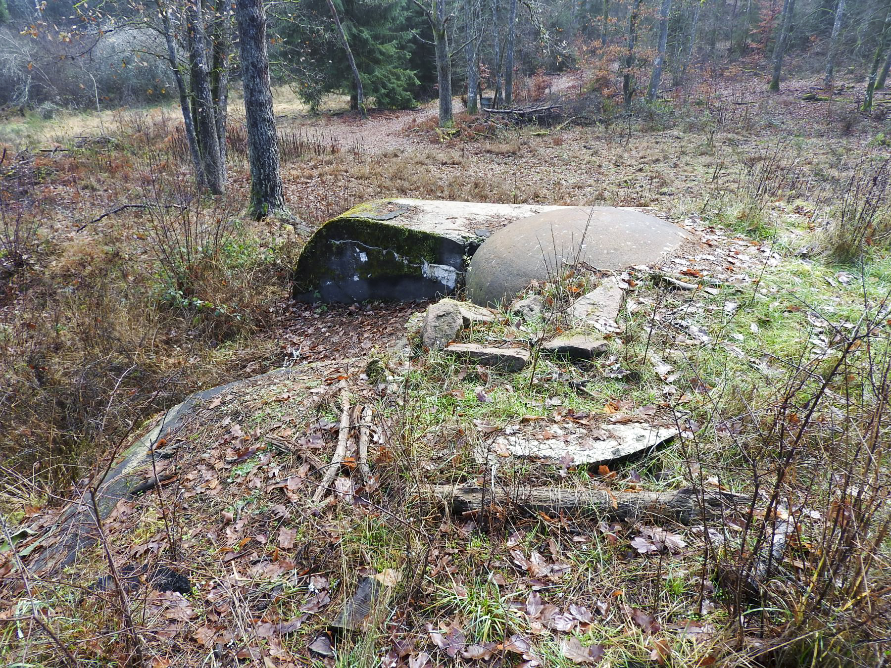 Ligne Maginot - GRAFENWEIHER EST - (Casemate d'infanterie - Simple) - La cloche JM bien dégagée