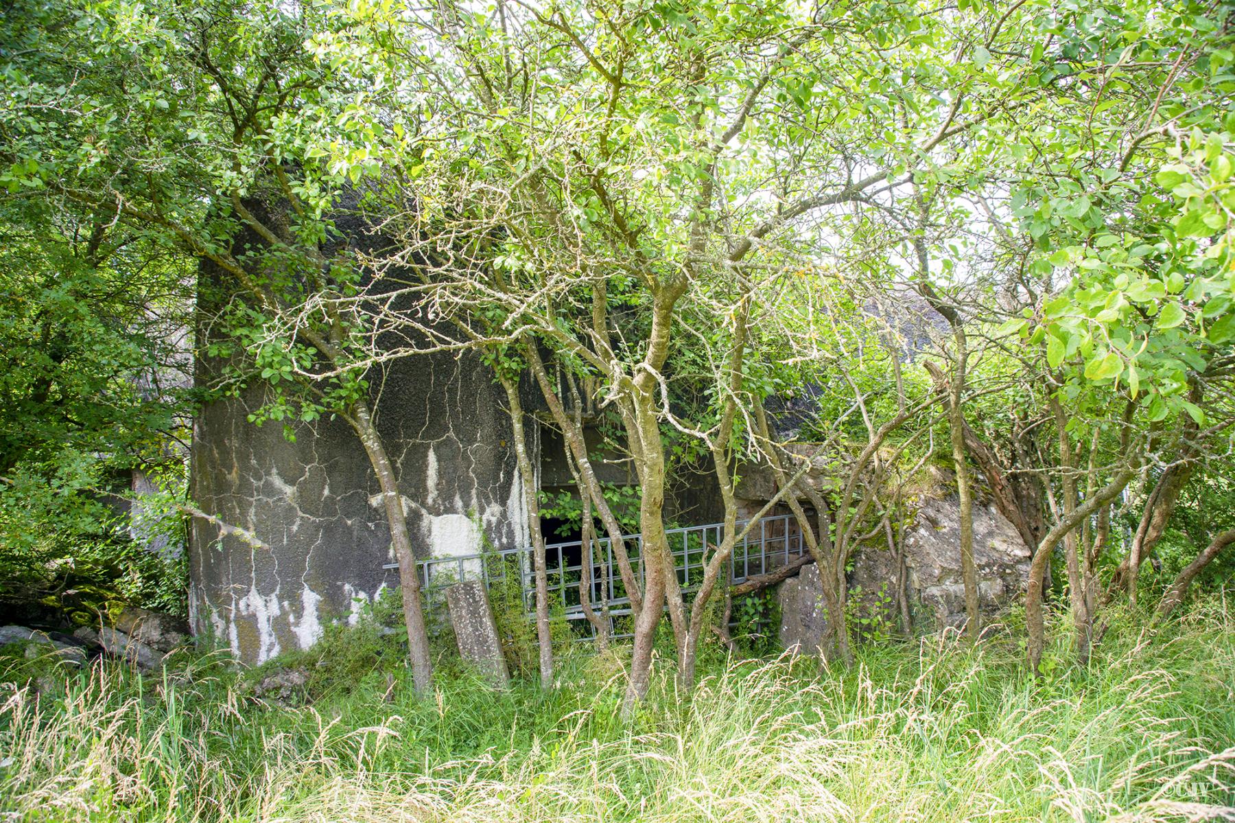 Ligne Maginot - MC9B - MC24 - (Casemate d'infanterie - Double) - L'entrée
