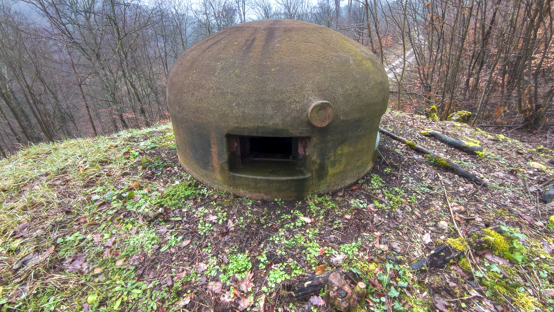 Ligne Maginot - REYERSVILLER - (Abri) - Cloche GFM du coffre Ouest