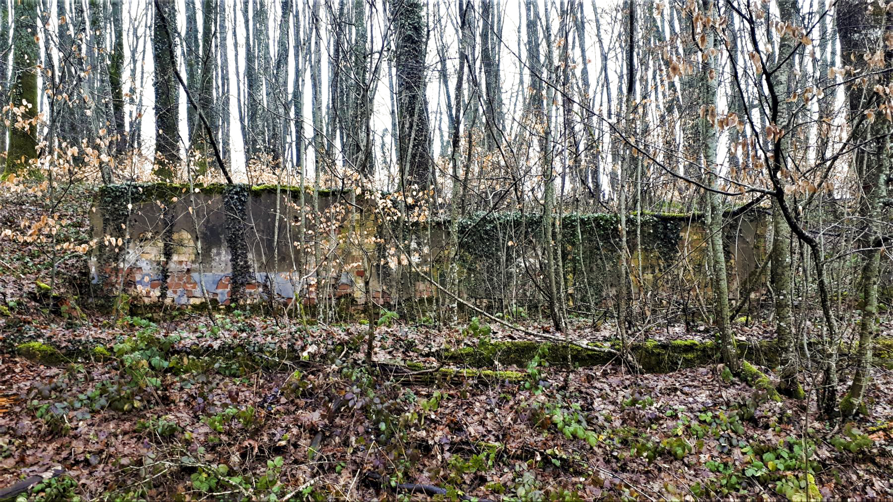 Ligne Maginot - FREUDENBERG (QUARTIER SCHIESSECK - I/37° RIF) - (Abri) - Ruine d'un baraquement à proximité des entrées - Gregory Fuchs