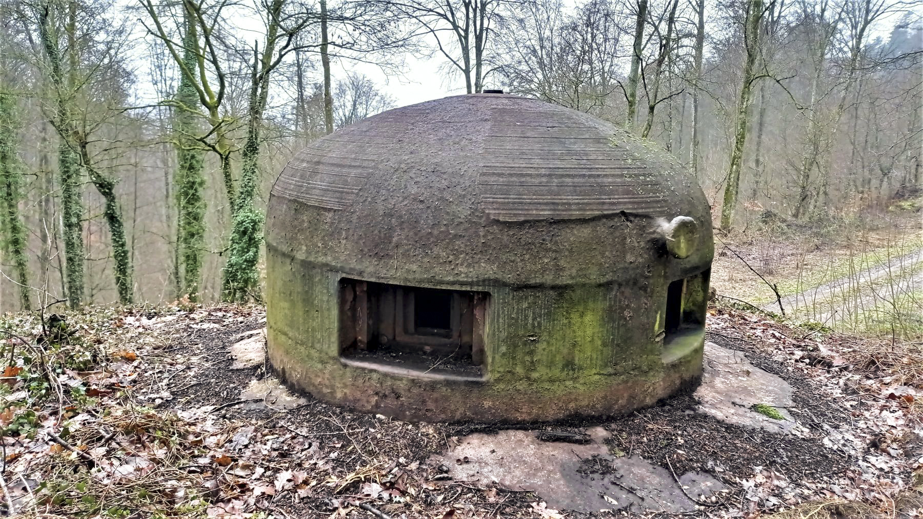 Ligne Maginot - FREUDENBERG (QUARTIER SCHIESSECK - I/37° RIF) - (Abri) - Cloche GFM du coffre Ouest - Baptiste GAUDIN