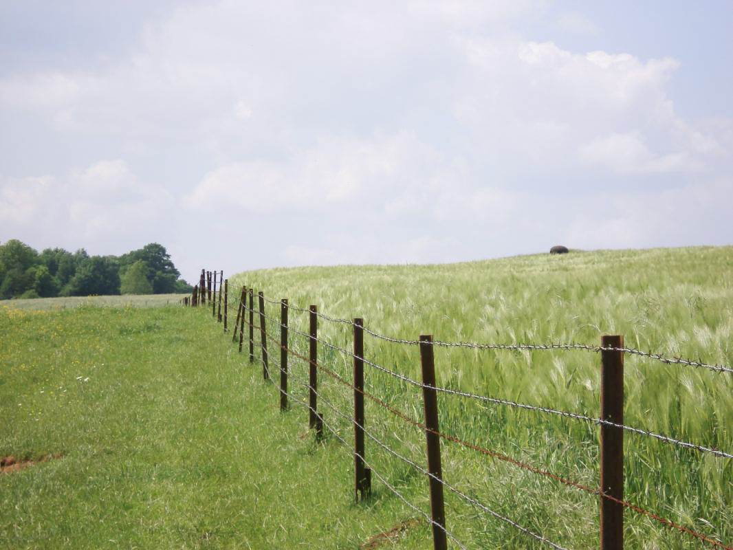 Ligne Maginot - 75BIS - POTINVAUX - (Blockhaus pour arme infanterie) - Vue vers bloc 2, ouvrage le Chenois - R Tucker