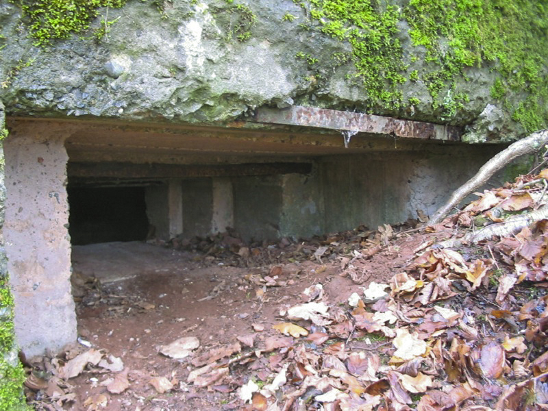 Ligne Maginot - Blockhaus HEILLINGEN DELL - Le créneau coté extérieur