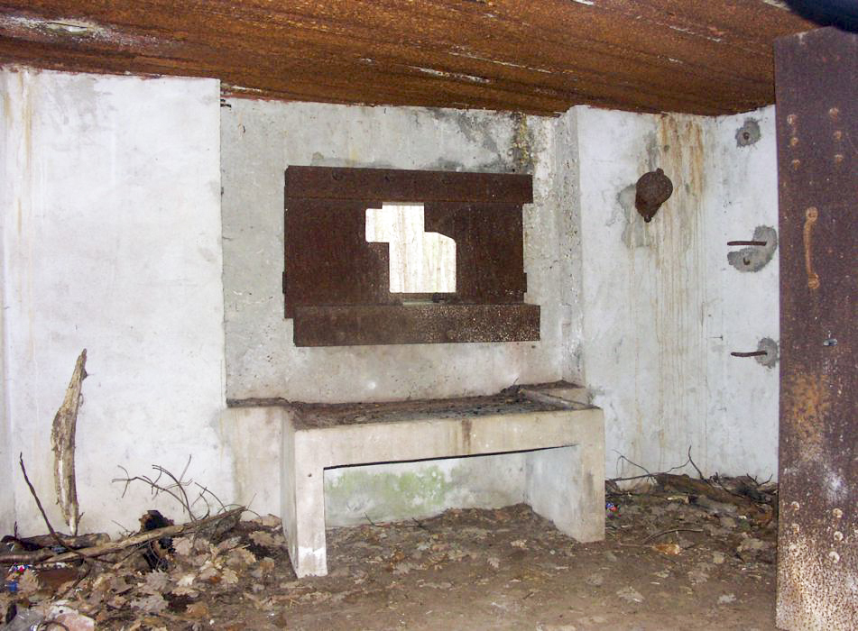 Ligne Maginot - MAIN DU PRINCE 1 - (Blockhaus pour canon) - Le créneau pour canon