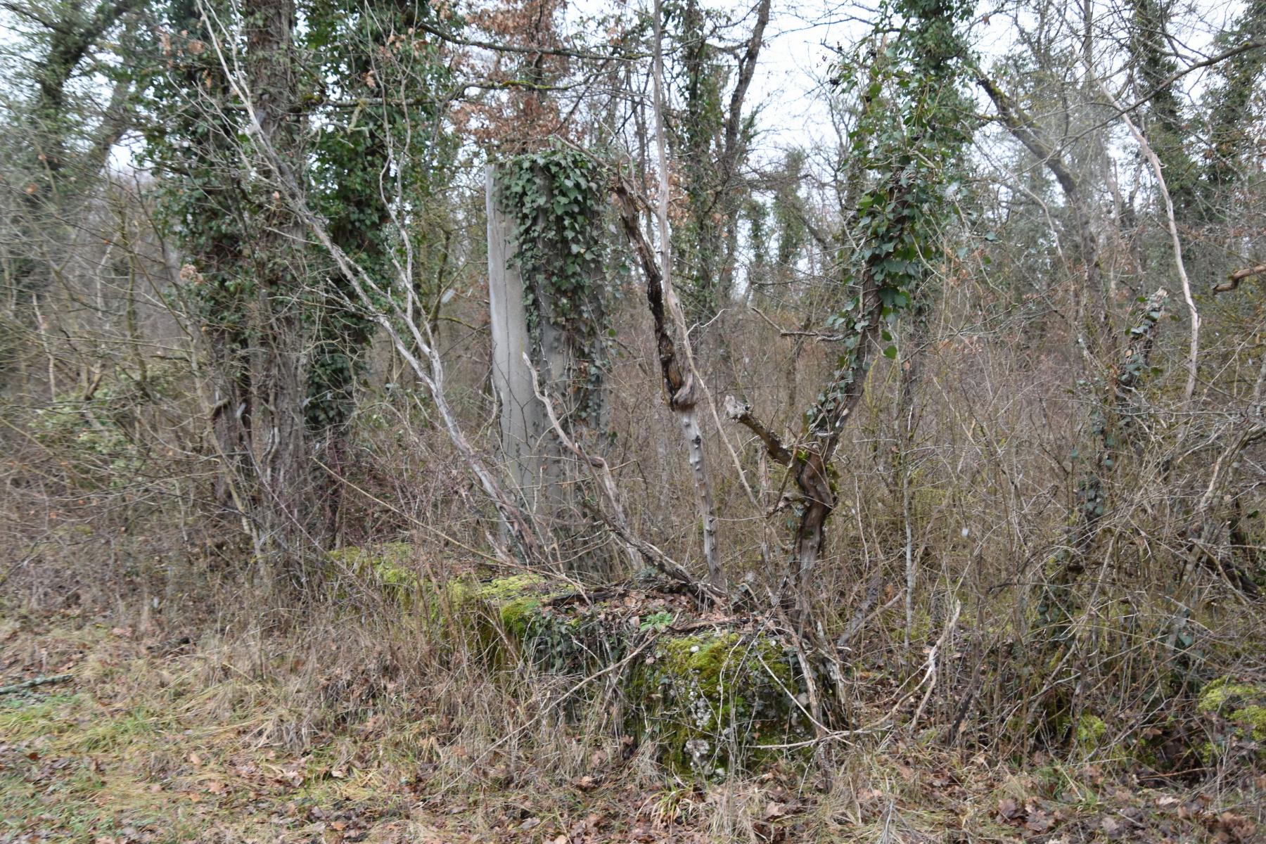 Ligne Maginot - BAERENRAIN - (Casernement) - Portail nord