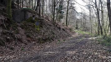 Ligne Maginot - M13 - NONNENHARDT OUEST 2 - (Blockhaus pour arme infanterie) - Le blockhaus barrant la vallée du Soutzbach. On distingue le blockhaus CORF de Saegemuhle au bout du chemin