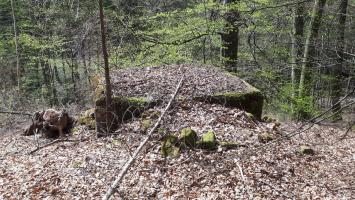 Ligne Maginot - M12 - NONNENHARDT OUEST 3 - (Blockhaus pour arme infanterie) - Le blockhaus surplombant la vallée du Soultzbach