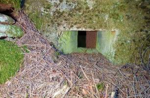 Ligne Maginot - FM40 - BETZENTHAL 3 - (Blockhaus pour arme infanterie) - Détail du créneau latéral droit 