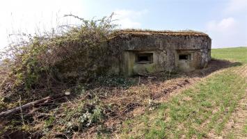 Ligne Maginot - BUCHHOLZERBERG EST - (Blockhaus pour arme infanterie) - Les deux créneaux pour mitrailleuses