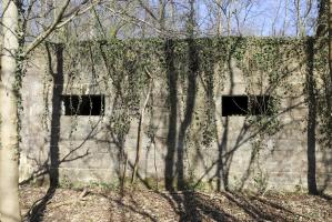 Ligne Maginot - RUHSAND - (Abri) - Vue arrière