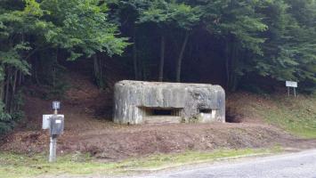 Ligne Maginot - PHILIPPSBOURG - (Blockhaus pour canon) - 