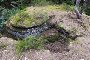 Ligne Maginot - WURZELKOPF (Observatoire d'artillerie) - 