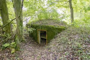 Ligne Maginot - M15 - BOIS DE LANGENSOULTZBACH 2 - (Blockhaus pour arme infanterie) - 