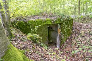 Ligne Maginot - FM64 - BOIS DE LANGENSOULTZBACH 3 - (Blockhaus pour arme infanterie) - 
