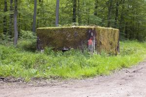 Ligne Maginot - CB246 - HELMREICH 1 - (Blockhaus pour arme infanterie) - 