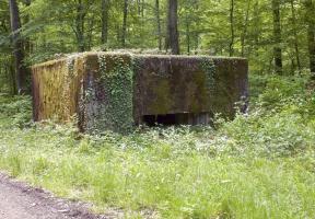 Ligne Maginot - CB249 - HELMREICH 2 - (Blockhaus pour canon) - 