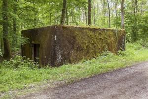 Ligne Maginot - CB249 - HELMREICH 2 - (Blockhaus pour canon) - 