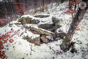 Ligne Maginot - BOIS DE LA HEURETTE - (Blockhaus de type indéterminé) - 