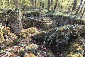 Ligne Maginot - BOIS DE LA HEURETTE - (Blockhaus de type indéterminé) - 