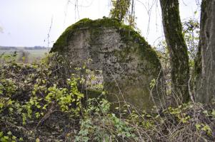 Ligne Maginot - MORT HOMME (PC) - Il ne subsiste que les murs des extrémités et une petite partie des tôles métro, le tout perdu dans la végétation