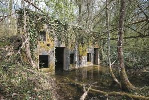 Ligne Maginot - BOIS DE CALVERT - (PC) - 