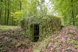 Ligne Maginot - M14 - BOIS DE LANGENSOULTZBACH 4 - (Blockhaus pour arme infanterie) - 