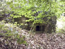Ligne Maginot - M14 - BOIS DE LANGENSOULTZBACH 4 - (Blockhaus pour arme infanterie) - 