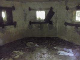 Ligne Maginot - M14 - BOIS DE LANGENSOULTZBACH 4 - (Blockhaus pour arme infanterie) - 