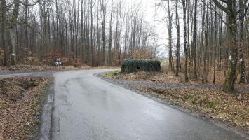 Ligne Maginot - BOIS DE LANGENSOULTZBACH 5 - (Blockhaus pour arme infanterie) - Le bloc placé dans un virage de la route