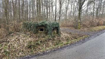 Ligne Maginot - BOIS DE LANGENSOULTZBACH 5 - (Blockhaus pour arme infanterie) - Vue sur le créneau frontal et latéral droit