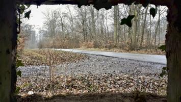 Ligne Maginot - BOIS DE LANGENSOULTZBACH 5 - (Blockhaus pour arme infanterie) - Vue depuis le créneau gauche