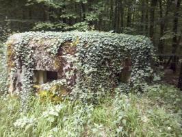Ligne Maginot - BOIS de LANGENSOULTZBACH 5 (Blockhaus pour arme infanterie) - Vue sur le créneau frontal et latéral gauche