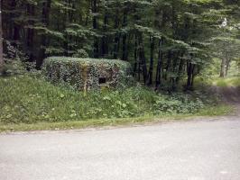 Ligne Maginot - BOIS de LANGENSOULTZBACH 5 (Blockhaus pour arme infanterie) - Vue sur le créneau frontal