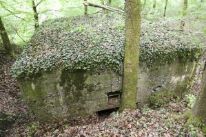 Ligne Maginot - CB424 - NEUWIESE 2 - (Blockhaus pour canon) - 