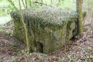 Ligne Maginot - CB424 - NEUWIESE 2 - (Blockhaus pour canon) - 