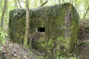Ligne Maginot - CB424 - NEUWIESE 2 - (Blockhaus pour canon) - 