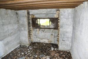 Ligne Maginot - CB424 - NEUWIESE 2 - (Blockhaus pour canon) - 
